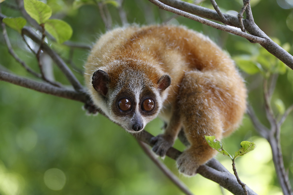 【征文选登】只为以后天天遇见你