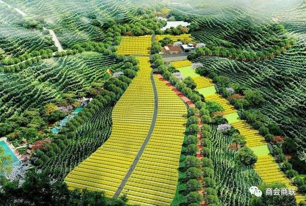 开云体育 Kaiyun.com 官网入口2021年农林项目20类补贴扶持政策