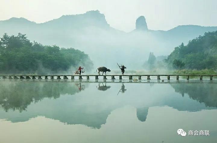 开云体育 Kaiyun.com 官网入口2021年农林项目20类补贴扶持政策(图2)