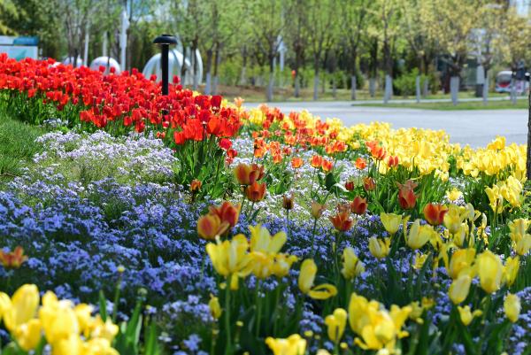 北京世园公园挂牌开放 首届北京国际花园节同时启动