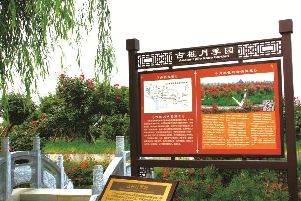 南阳月季博览园:以月季文化创新带动产业发展