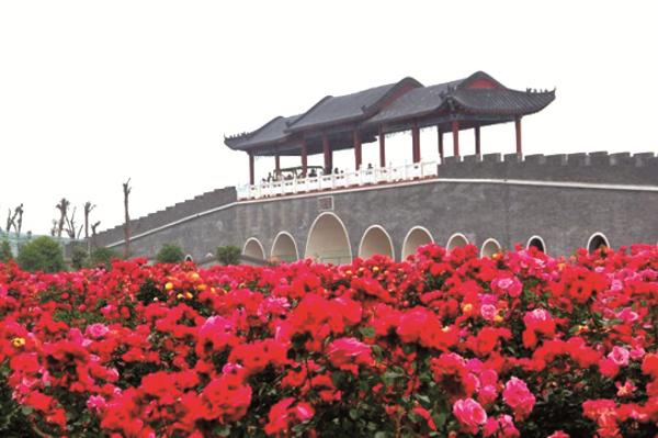 南阳月季博览园:以月季文化创新带动产业发展