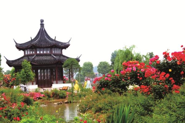 南阳月季博览园:以月季文化创新带动产业发展