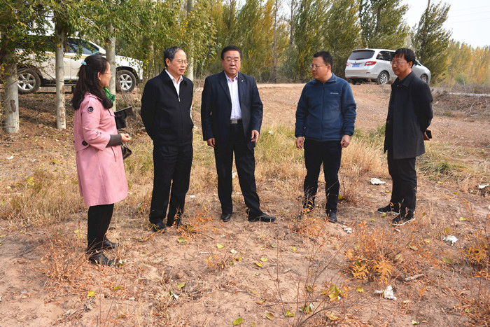 国家林业和草原局科技发展中心到沙林中心调研