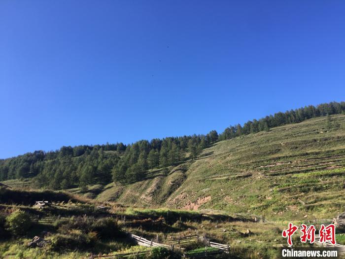 山西生态扶贫：“绿水青山”成民众致富增收“靠山”（最新发布）