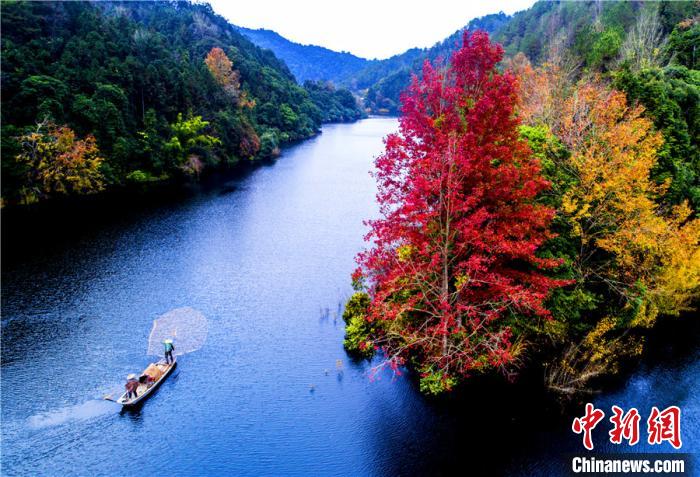 广东启动推选认定一批“南粤森林人家”（最新发布）