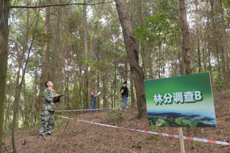 全国林草行业技能竞赛广西选拔赛在南宁举办