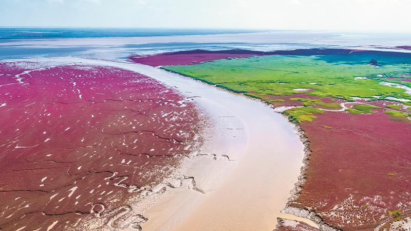 辽宁盘锦自然湿地保护率提高到57%