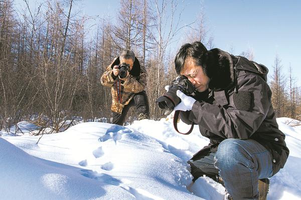 黑龙江岭峰保护区开展野生动物调查