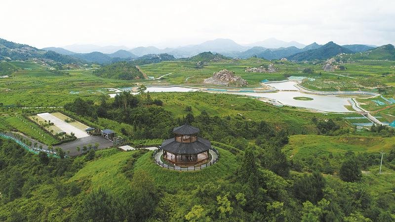 江西寻乌赎买林地改善东江源生态