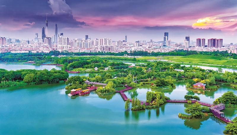广东2025年前将营造修复红树林12万亩