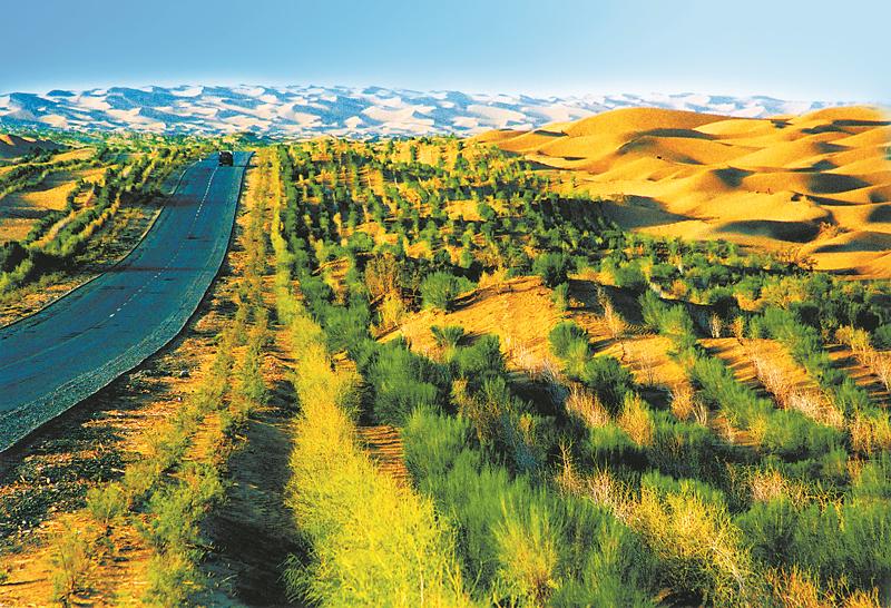 新疆：从“沙进人退”到“绿进沙退”