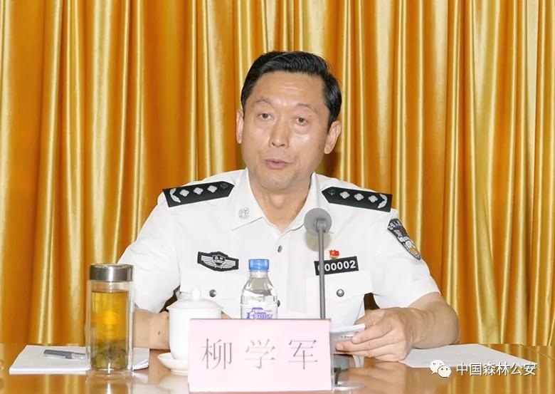 严打涉林突出违法犯罪