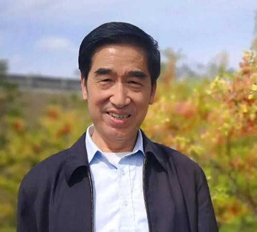 小花老总_小花仙图片