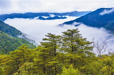 武夷山gdp_2021上半年江西吉安GDP出炉,全省内能排第几(2)