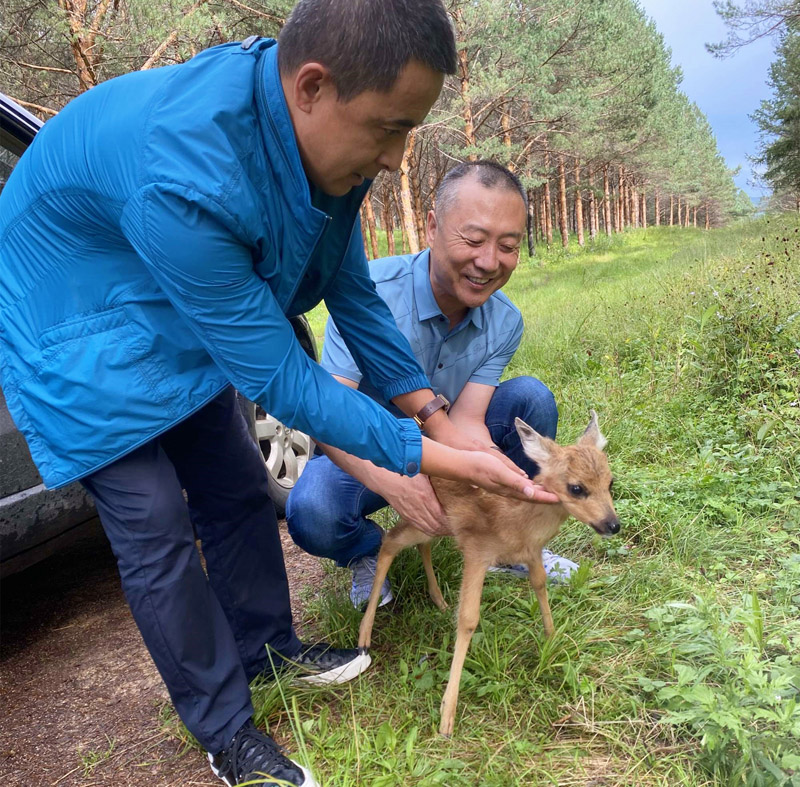 大兴安岭加格达奇林业人为野生动物撑起“保护伞”