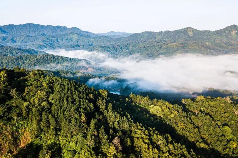 我们的国家公园｜海南热带雨林国家公园体制试点区