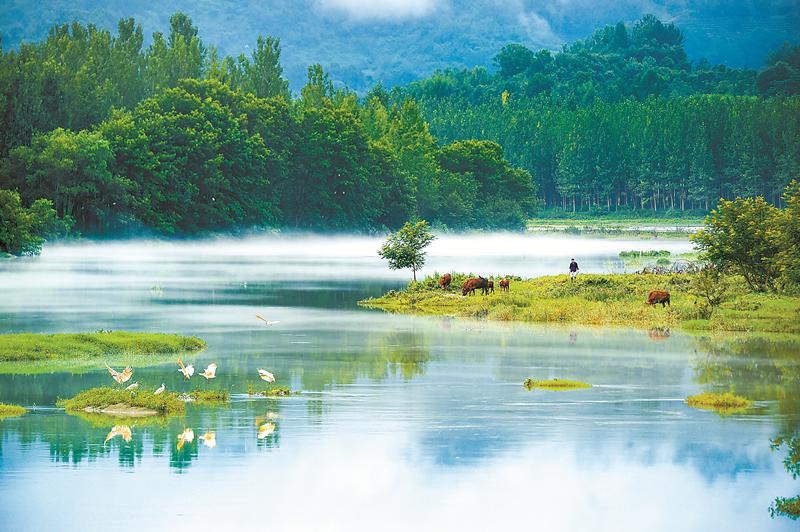 陕西开展湿地保护法宣传月活动