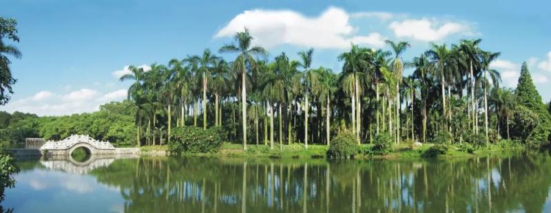 华南国家植物园 | 世界最大南亚热带植物园怎样代表国家引领世界？