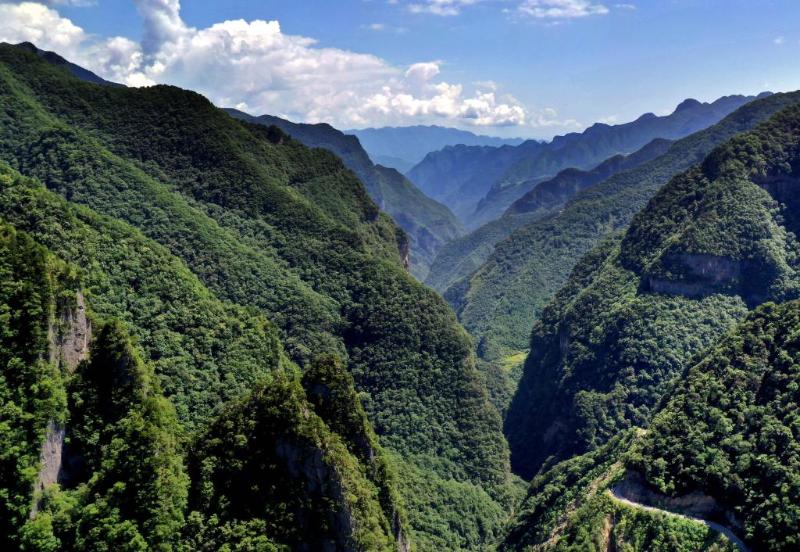 长江边“长出”世界自然遗产地——记者徒步11公里找寻生态“密码”