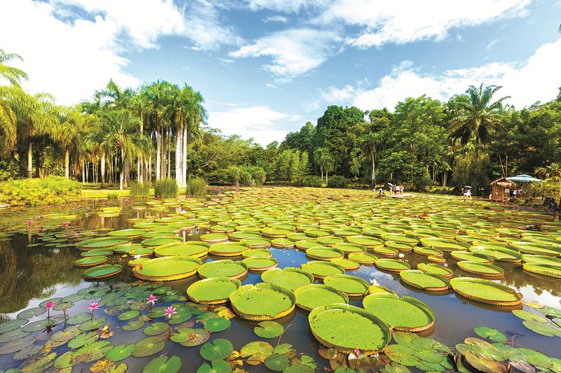 版纳植物园：生物多样性保护的样板