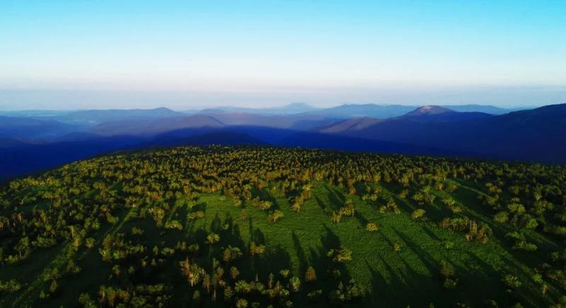 全国林业摄影抖音大赛，“发现”了哪个国有林区