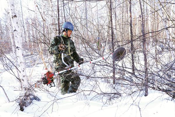 大兴安岭林业集团加强森林抚育提升森林质量