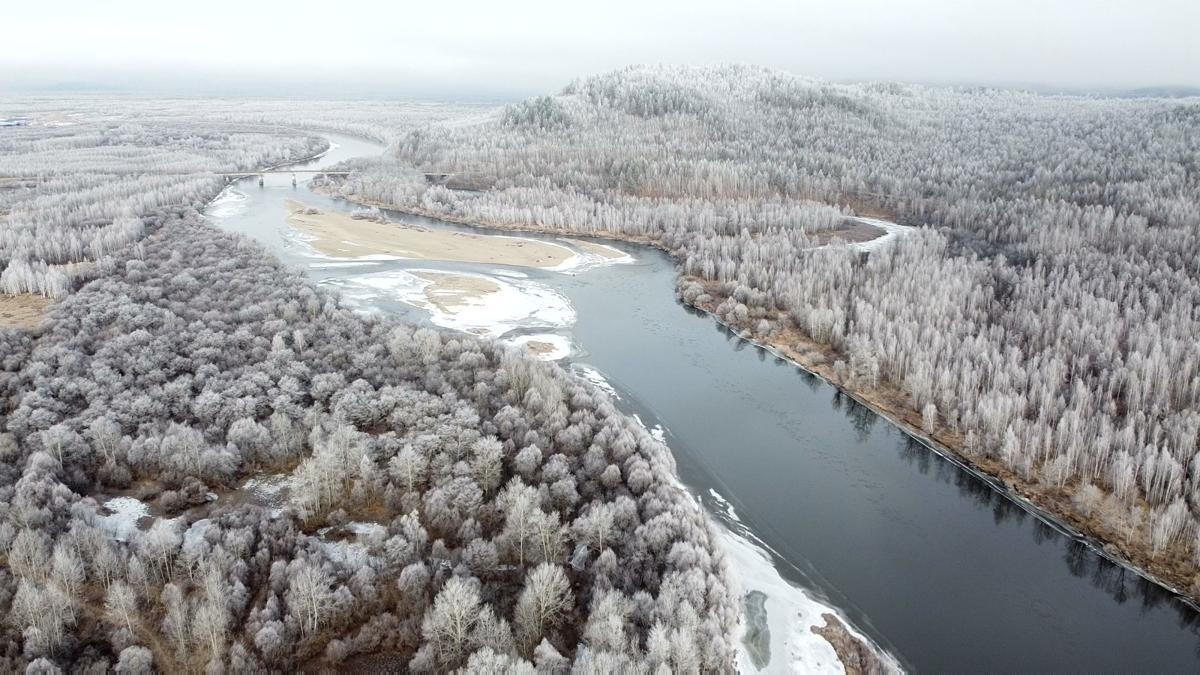 Forest in chilly Heilongjiang