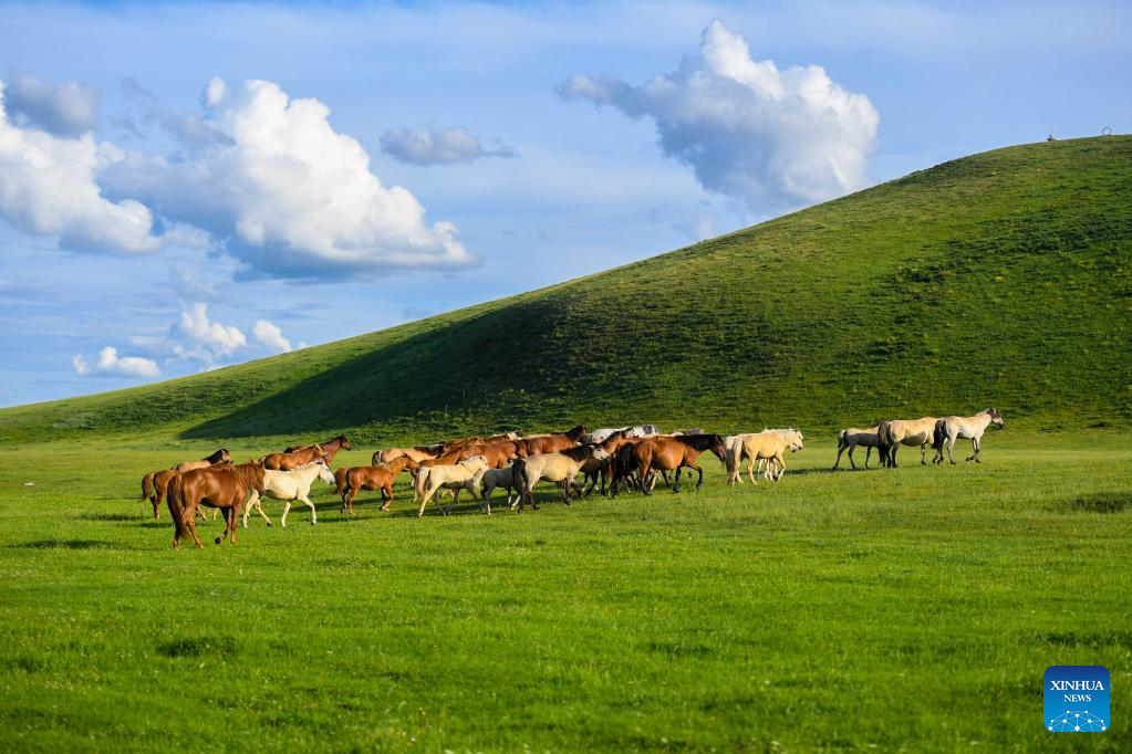 Grassland in Inner Mongolia