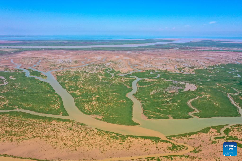 Yellow River Delta National Nature Reserve