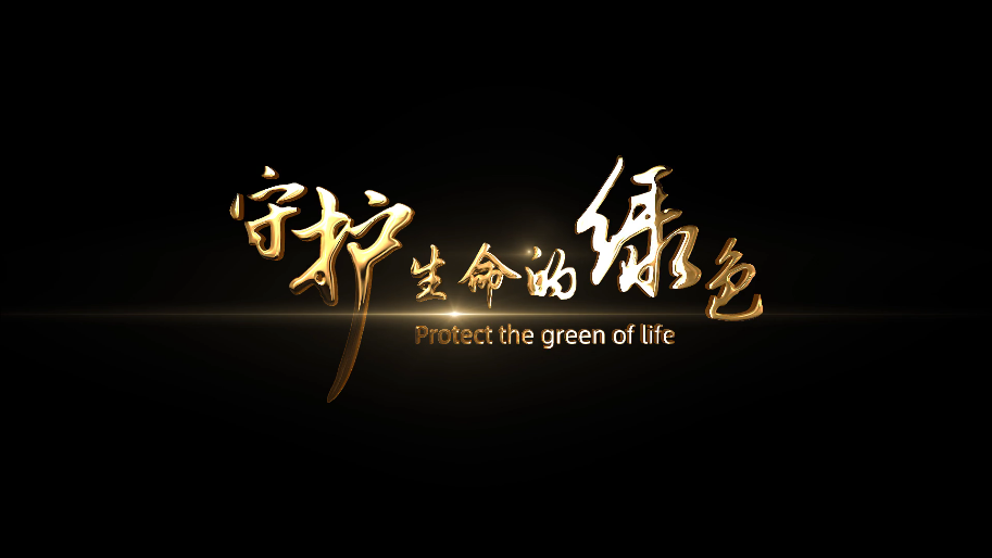 《守护生命的绿色》