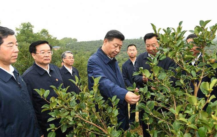 习近平在河南考察时强调 坚定信心埋头苦干奋勇争先 谱写新时代中原更加出彩的绚丽篇章