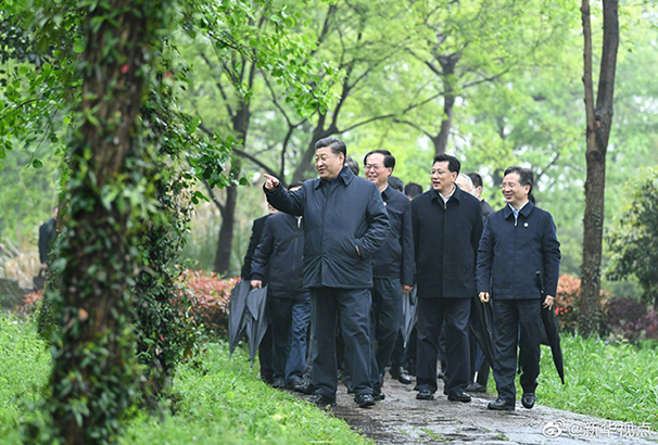 习近平：让湿地公园成为人民群众共享的绿意空间