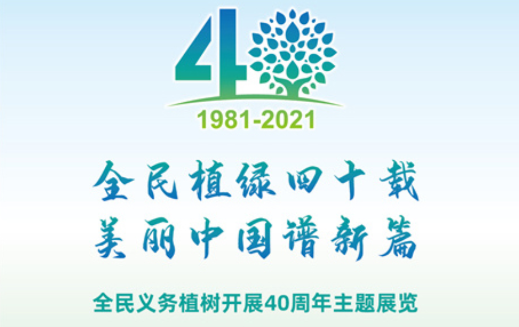 全民植绿四十载  美丽中国谱新篇