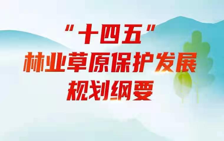 “十四五”林业草原保护发展规划纲要