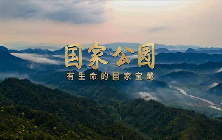 焦点访谈｜国家公园：有生命的国家宝藏