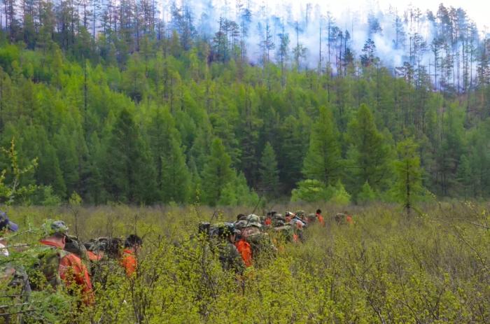 扑火前线杜鹃花依然绽放