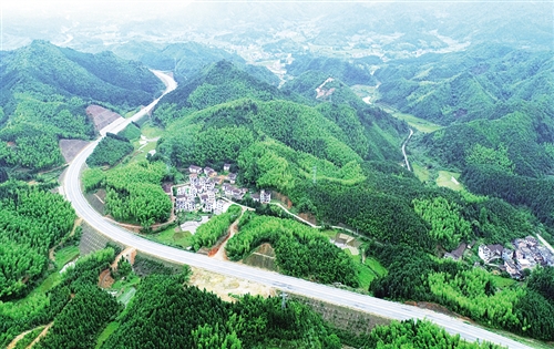 乐安县鳌溪镇案山村公路两旁森林覆盖,郁郁葱葱图片