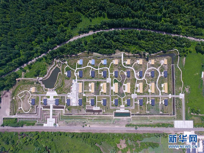 阿尔山夏日美景