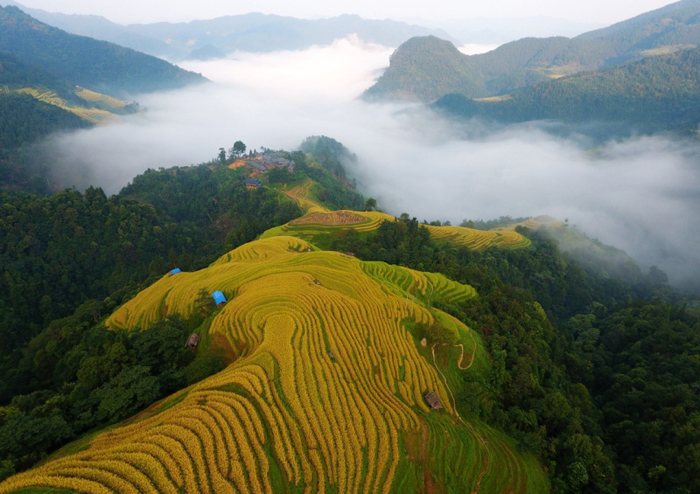 国家生态文明试验区贵州的绿色之路