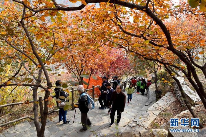 为首都守护好绿水青山