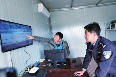 气候变暖环境好,更多候鸟选择在河南越冬