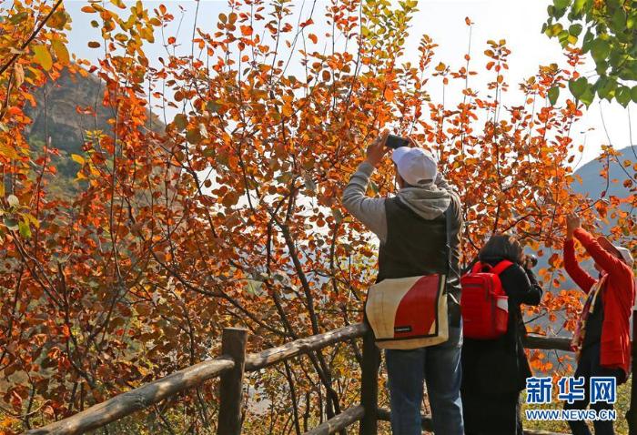 北京房山黄山店村的绿色变身记