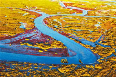 [最美林业故事]守护,为了你最美的样子