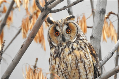 建设生态文明 共创美丽中国