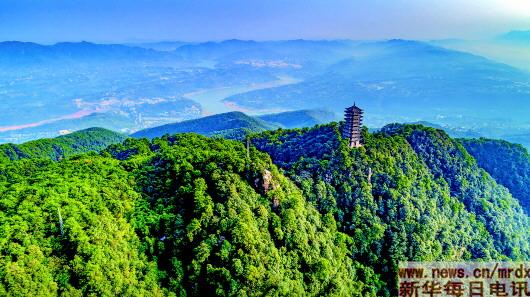 重庆:“都市里的自然保护区”蜕变记