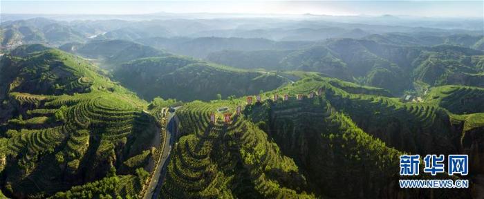 绿染吕梁山