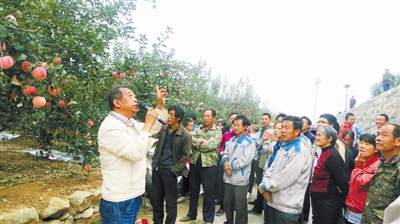 人民楷模李保国