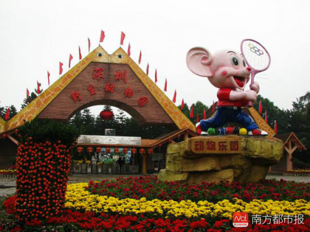 5.深圳野生动物园