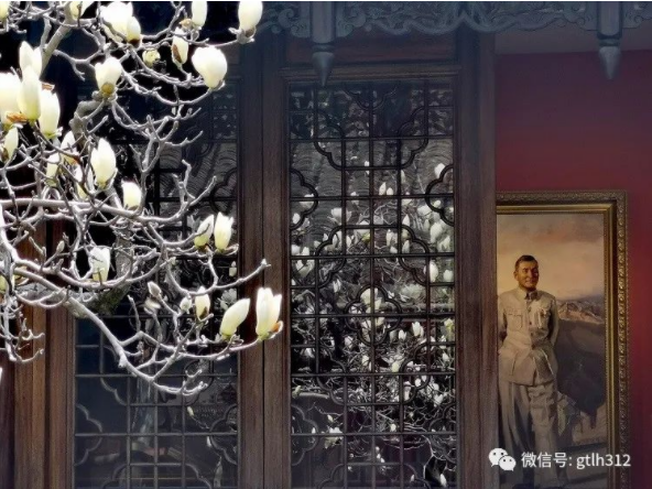 首届古树名木保护摄影大赛参赛作品评选结果公示